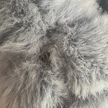 Z Markasıyla Yaşadığım Süregelen Sorun Ve Müşteri Hizmetlerinden Sonuç Alamama