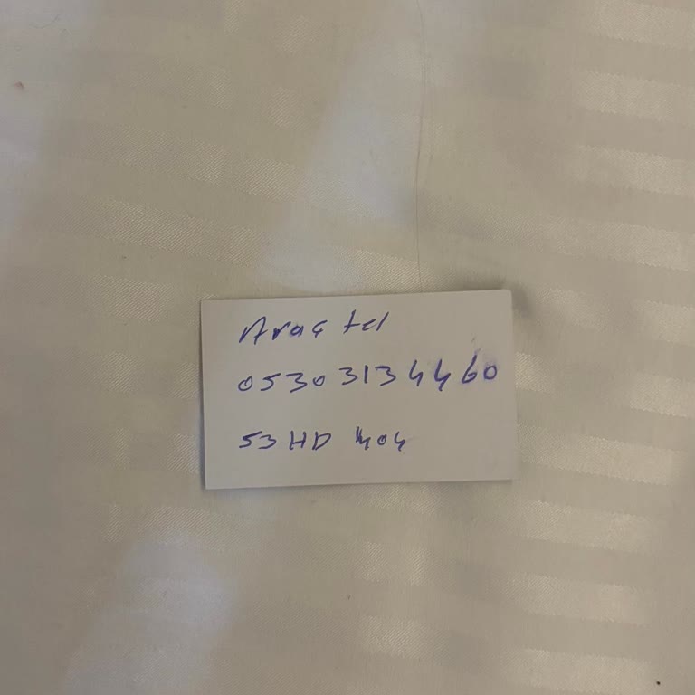 Evcil Hayvanımın Taşımasında İlgisizlik Ve Sorumluluk Eksikliği: Kayıp Kedi Ve Ücret İadesi Talebi