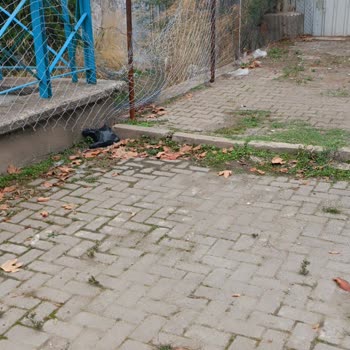 Millet Bahçesi’ne Yaya Geçişi Eksikliği Ve Artan Otopark Ücretleri Mağduriyeti