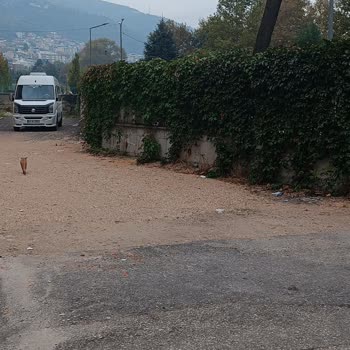 Millet Bahçesi’ne Yaya Geçişi Eksikliği Ve Artan Otopark Ücretleri Mağduriyeti