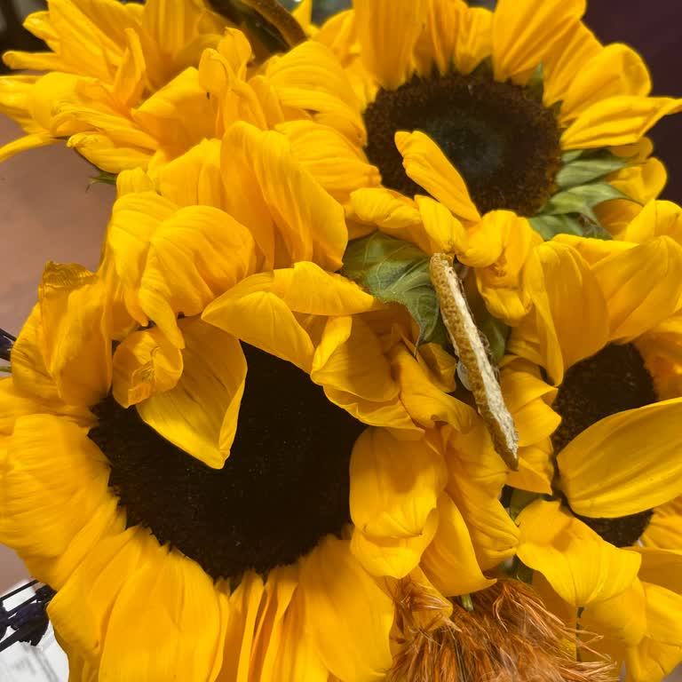 Kendime Aldığım Çiçekler Solmuş Ve Kötü Durumda Teslim Edildi