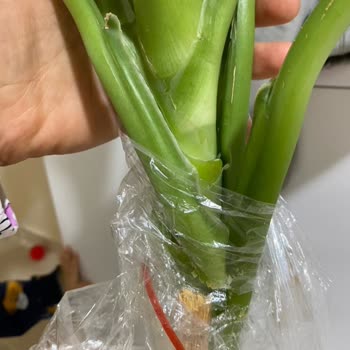 Kargo Sürecinde Zarar Gören Ürün İçin Ücret İadesi Talebim