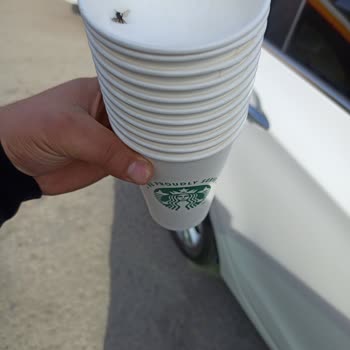 Kahvemde Sinek Çıktı, Ücret İadesi Ve Hijyen Talebim Karşılanmadı