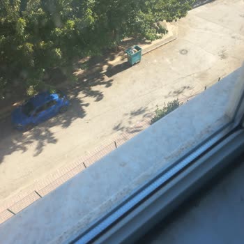 Gaziantep’te Böcek İstilasına Acil Müdahale Bekliyoruz!