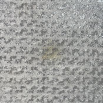 Halı Yıkama Sonrası Leke Ve Temizlik Sorunu Yaşadım