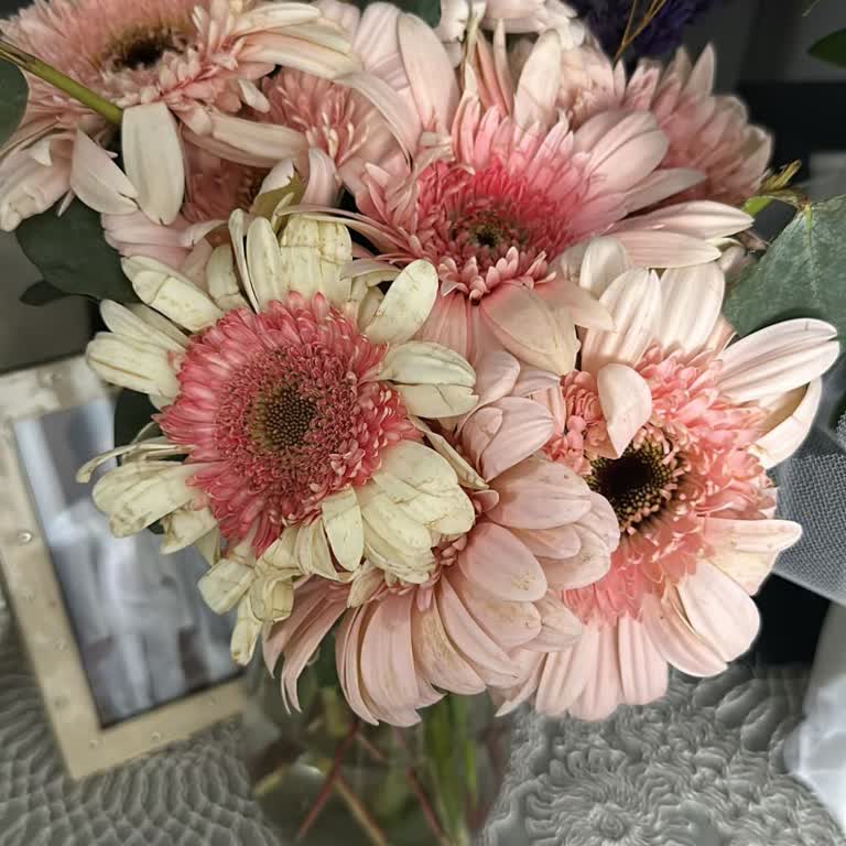 Sipariş Edilen Çiçek Görselden Farklı Ve Solmuş Olarak Teslim Edildi