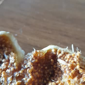 Egeden Kadın Dayanışması Kurtlu İncir Gönderildi Param İade Edilmiyor