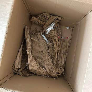 Kırık Ürün, Yetersiz Destek: Müşteri Mağduriyetimin Giderilmesini Talep Ediyorum