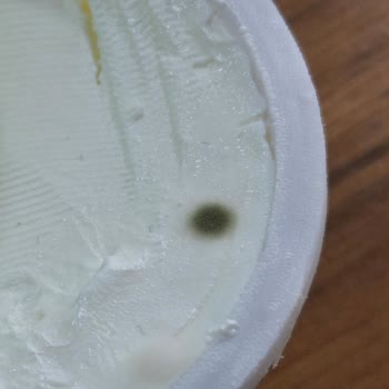 Aldığım Labne Peynir Kısa Sürede Küflendi, Çözüm Bekliyorum