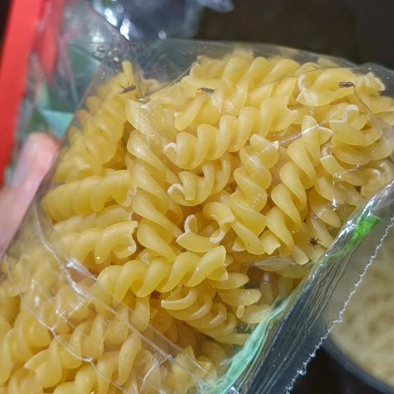 Carrefour Markalı Makarnadan Böcek Çıkması Ve Denetim Eksikliği