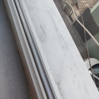 Böcek İstilası Nedeniyle Yaşam Alanlarımız Kullanılamaz Hale Geldi