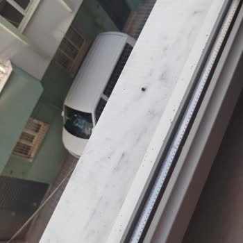 Böcek İstilası Nedeniyle Yaşam Alanlarımız Kullanılamaz Hale Geldi