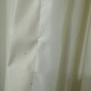 Karataş Mahallesinde Üvez Böceği İstilası Yaşam Kalitesini Düşürüyor