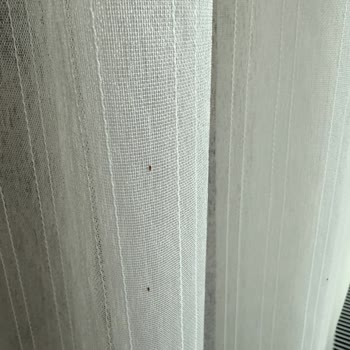 Karataş Mahallesinde Üvez Böceği İstilası Yaşam Kalitesini Düşürüyor