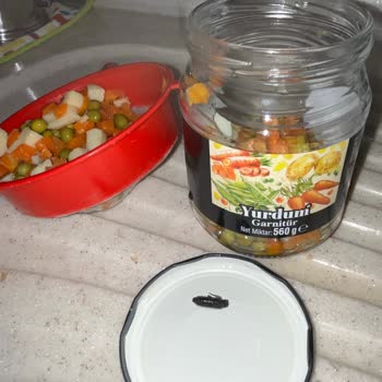 Konserve Garnitürden Hamam Böceği Çıkması İle Yaşanan Sağlık Ve Güven Şoku