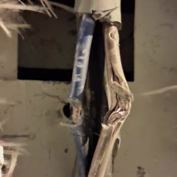 İzinsiz Reklam Kutusu Nedeniyle Evimde Hasar Oluştu, Acil Çözüm Bekliyorum