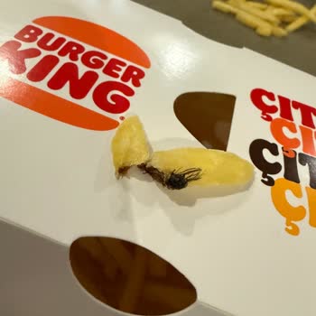 Burger King Patatesinde Böcek: Hijyen ve Güven Sorunu