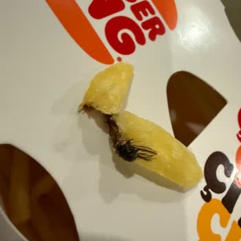 Burger King Patatesinde Böcek: Hijyen ve Güven Sorunu