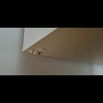 Pierre Cardin Bebek Mobilyaları Bir Buçuk Yıl İçinde Önce Gardırobun Ayakları Kırıldı