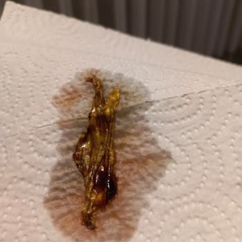 Çikolata Sosunda Yabancı Maddeyle Karşılaştım, Mağduriyetimin Giderilmesini İstiyorum