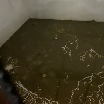 Kanalizasyon Taşkını Ve Yol Çukurları Mahallemizde Hayatı Zorlaştırıyor