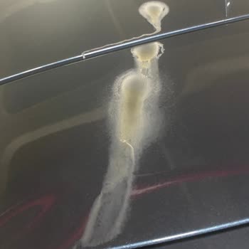 Otoparktaki Su Sızıntısı Nedeniyle Araç Boyasında Ciddi Hasar