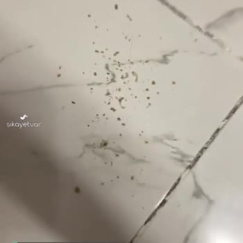 Bosch Süpürge Çektiğini Geri Döküyor