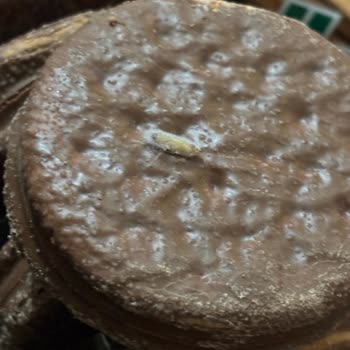 Paketli Halley'den Bayat Ve Kurtlu Ürün Şoku