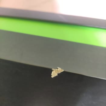 Yurtiçi Kargo Kargo Sürecinde Hasar Gören Bilgisayar Kutum Nedeniyle Mağdur Oldum