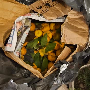 Kargo Teslimatında Yaşanan Gecikme Ve Zarar Nedeniyle Mağduriyet