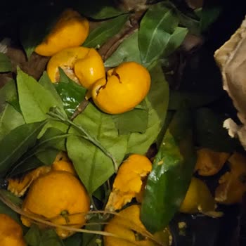 Kargo Teslimatında Yaşanan Gecikme Ve Zarar Nedeniyle Mağduriyet