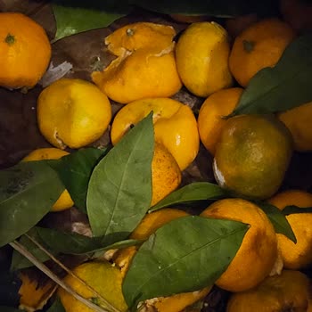 Kargo Teslimatında Yaşanan Gecikme Ve Zarar Nedeniyle Mağduriyet