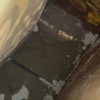 Migros Sanal Marketten Aldığım Unda Tekrar Kurt Çıktı, Emeklerim Çöpe Gitti