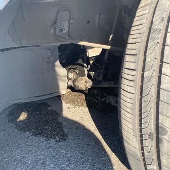 6 Ay Sonra Gelen Fahiş Hasar Talebi Ve Saygısız Müşteri Hizmetleri