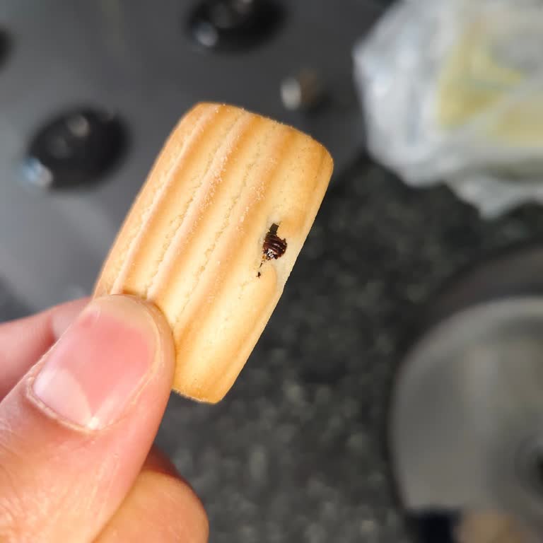 Eti Cici Bebe'den Böcek Çıktı, 5 Aydır Dönüş Yapılmadı Güvenim Sarsıldı