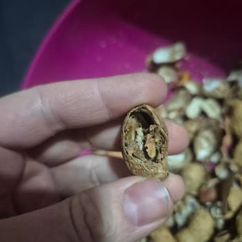 Aldığım Fıstıkların İçinden Kurtçuk Ve Larva Çıktı, Mağduriyetimin Giderilmesini İstiyorum