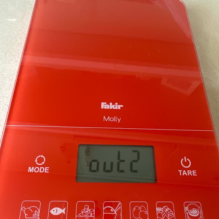 Fakir Molly Dijital Mutfak Tartısında Sürekli 'out2' Hatası Ve Çözüm Eksikliği