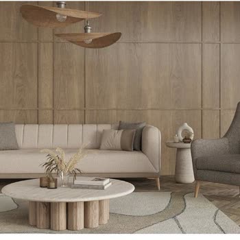 Koltuk Takımında Leke Sorunu Ve Yetersiz Teknik Servis Deneyimi