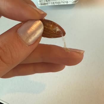 Peyman Kuruyemiş Paketinden Kurt Ve Tüy Çıktı, Hijyen Sorunu Yaşadım