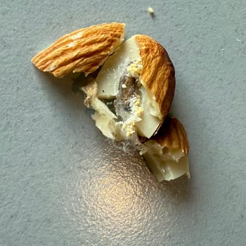 Peyman Kuruyemiş Paketinden Kurt Ve Tüy Çıktı, Hijyen Sorunu Yaşadım