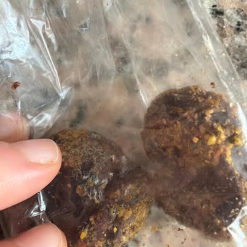 Küflü Kestane Şekeri Ve Eksik Bilgilendirme Nedeniyle Sağlık Endişesi