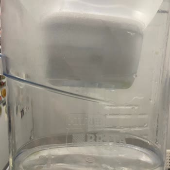 Philips Su Filtresi Kısa Sürede Yosunlanıyor Ve Suyun Tadı Bozuluyor