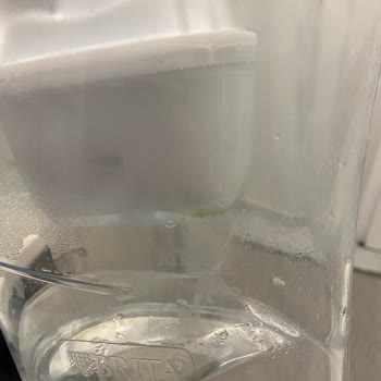 Philips Su Filtresi Kısa Sürede Yosunlanıyor Ve Suyun Tadı Bozuluyor