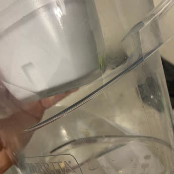 Philips Su Filtresi Kısa Sürede Yosunlanıyor Ve Suyun Tadı Bozuluyor