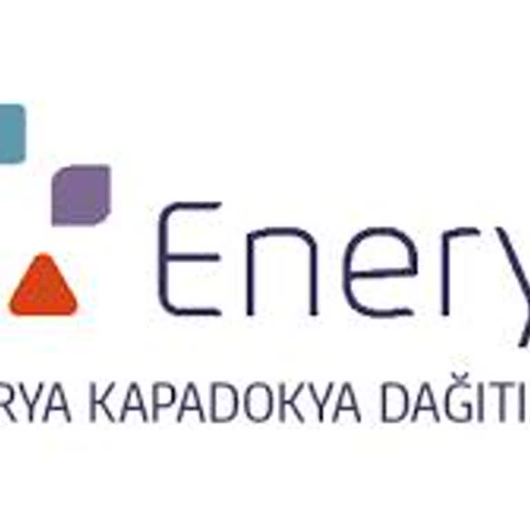 Enerya Mobil Uygulama Zorunluluğu Ve Erişim Sorunları