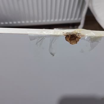 Çilek Mobilya'dan Aldığım Yatak Kırıldı, Müşteri Hizmetleri Dönüş Yapmıyor