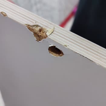 Çilek Mobilya'dan Aldığım Yatak Kırıldı, Müşteri Hizmetleri Dönüş Yapmıyor