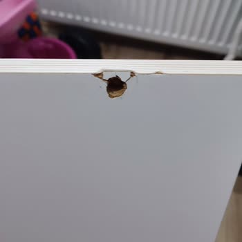 Çilek Mobilya'dan Aldığım Yatak Kırıldı, Müşteri Hizmetleri Dönüş Yapmıyor