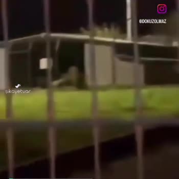 Sarıyer Belediyesi Kısırkaya Barınağı Bakımı
