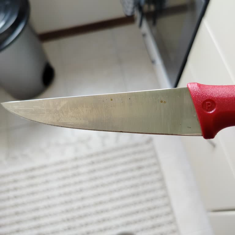 Aldığım İki Bıçak Seti De Hızla Paslandı, Çözüm Bekliyorum!